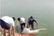 غرق طالب أثناء استحمامه في ترعة هرباً من الحر بسوهاج